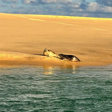 La Vie A Appartamento *