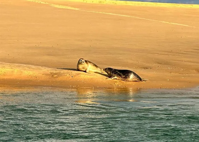 La Vie A Apartment *